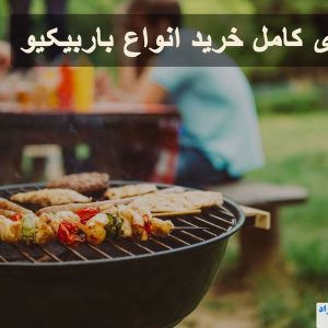 راهنمای خرید انواع باربیکیو