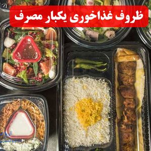ظروف غذاخوری یکبار مصرف